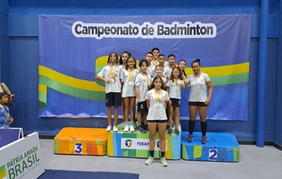 ndash, atletas, entidade, estipulado, calendrio, movimentao, Etapa, iniciou, voltaram, Federao, Febapi, gesto, Badminton, Piauiense, estaduais, competies, organizadas